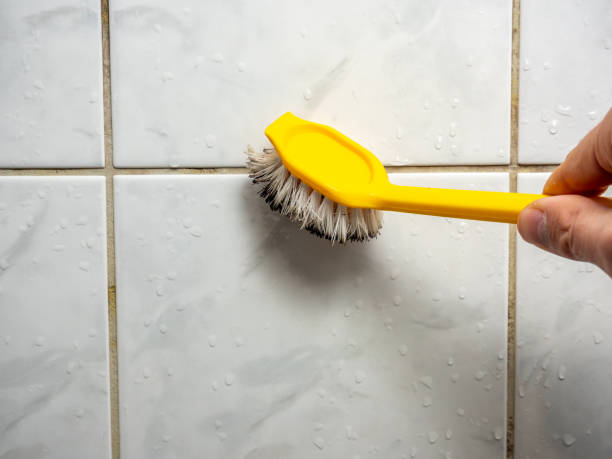 Best Mold Removal Company Near Me  in Montevideo, MN