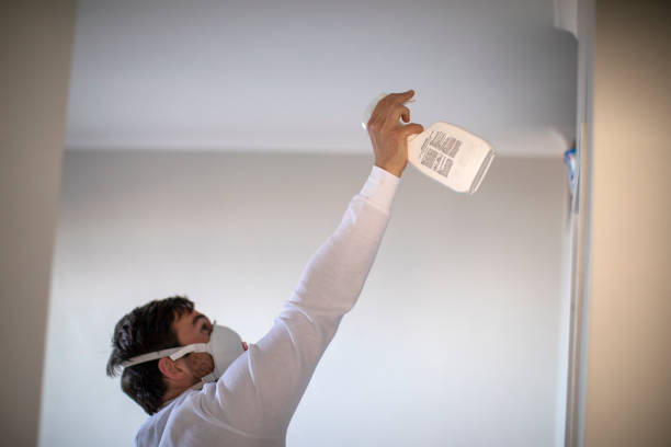 Best Emergency Mold Removal  in Montevideo, MN