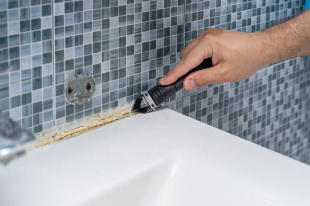 Mold Testing and Removal in Montevideo, MN